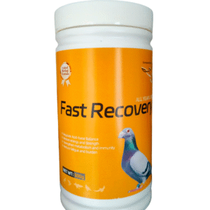 Fast Recovery