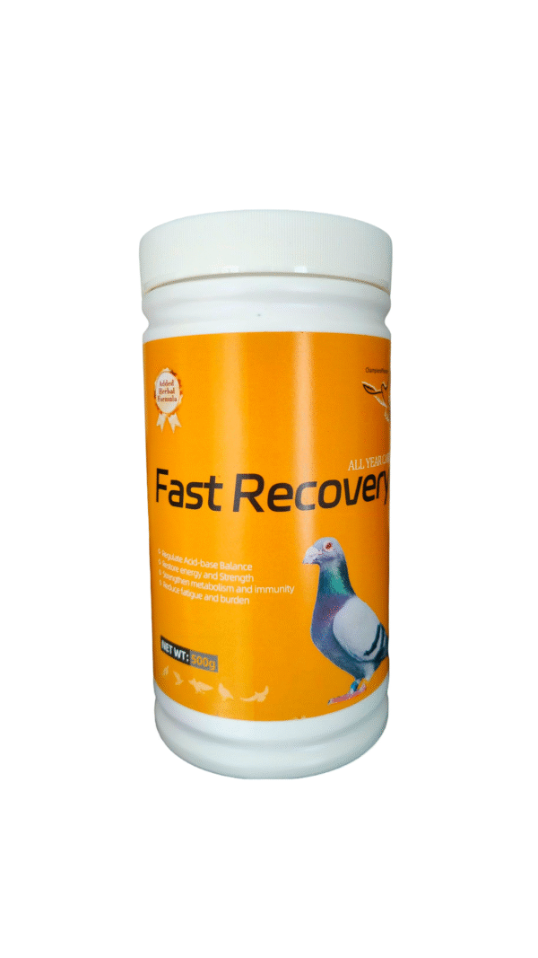 Fast Recovery