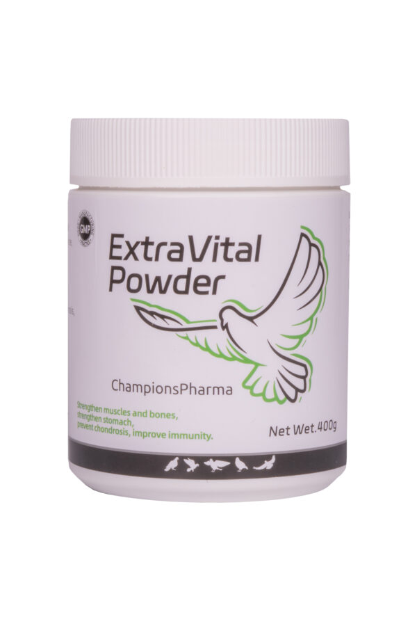 Extravital Strong Birds