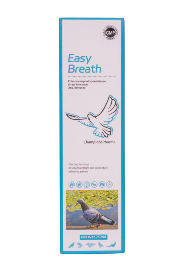 Easy Breath