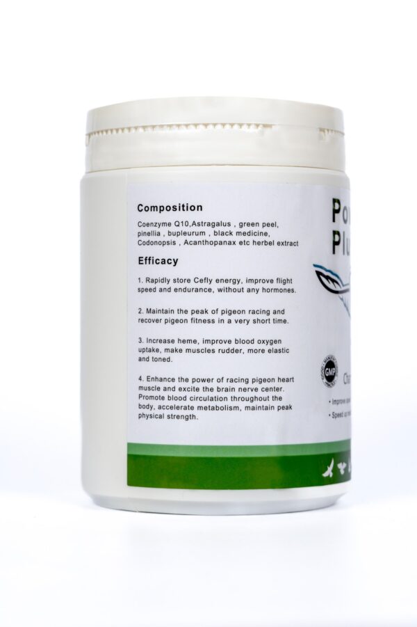 Power Plus - Image 3