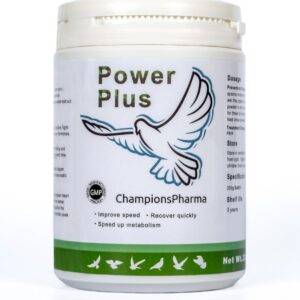 Power Plus