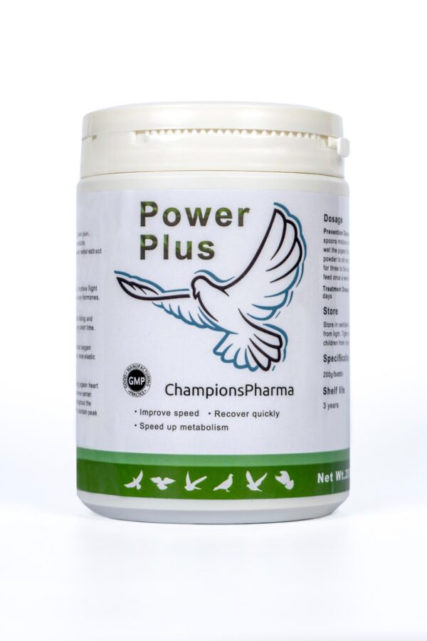 Power Plus