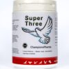 Super Three Racings Pigeon,Falcons,birds - Image 3