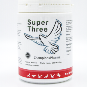 Super Three Racings Pigeon,Falcons,birds