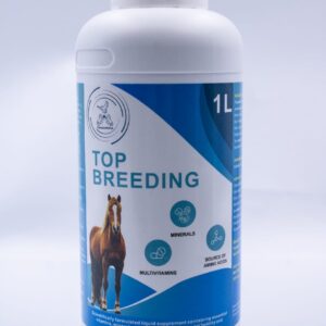 Top Breeding for Horses