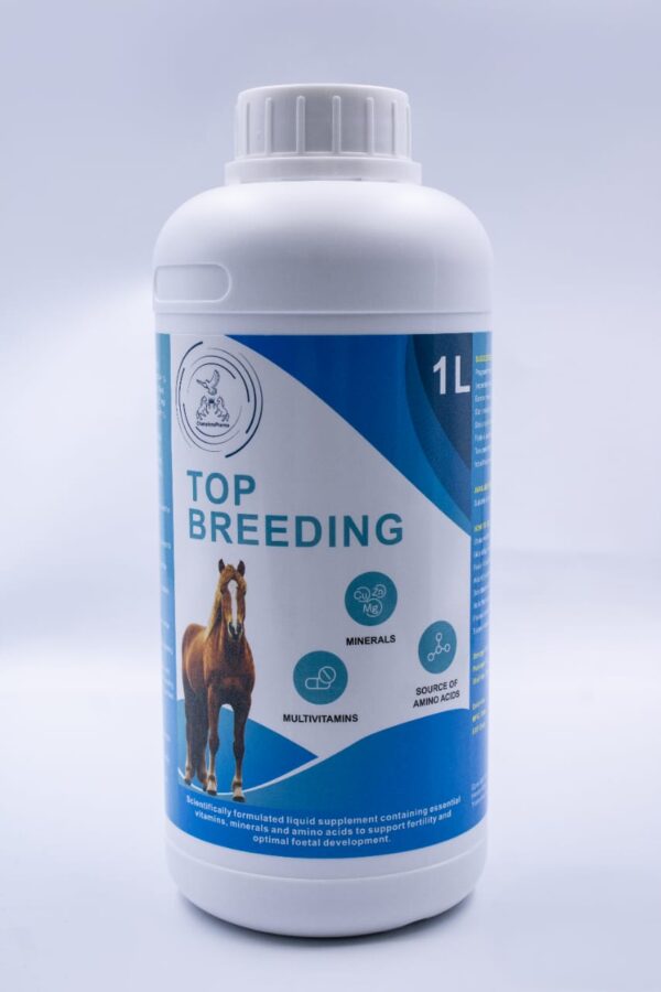 Top Breeding for Horses