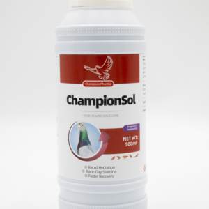 Championsol: Premium Performance & Recovery Supplement for Racing Pigeons
