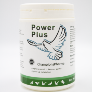 Power Plus