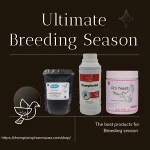 Breeding season exclusive pack